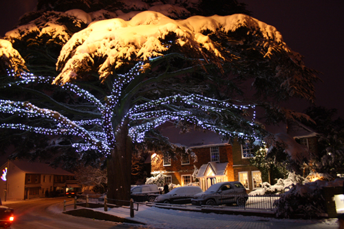 The Cedar Tree in Caterham-on-the-Hill, now covered in snow, makes a wonderful Christmas scene. 