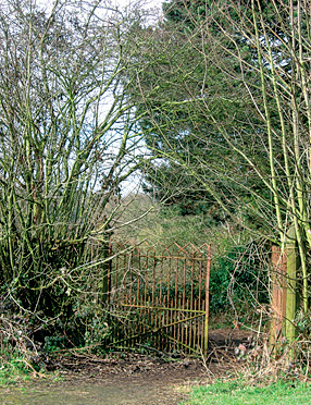 The gate at the entrance to the St. Lawrence’s Hospital burial ground before the renovations took place.