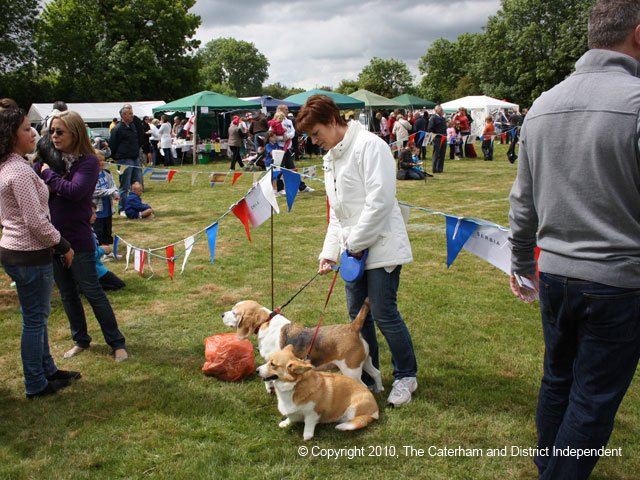 Warlingham Fair 2010 / IMG_0491.jpg