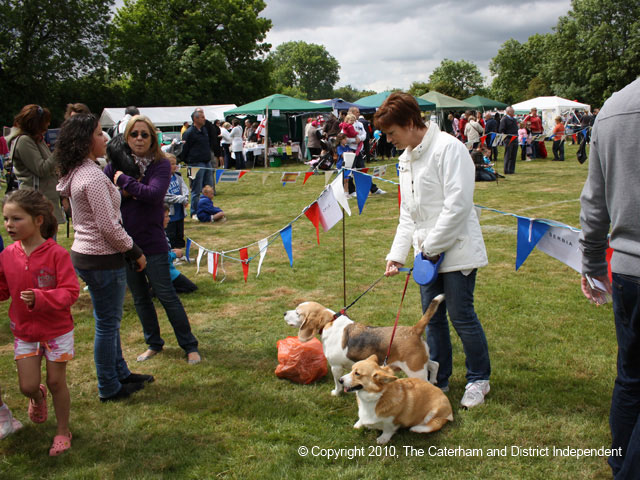 Warlingham Fair 2010 / IMG_0492.jpg