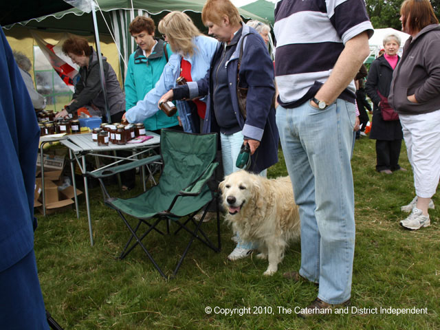 Warlingham Fair 2010 / IMG_0505.jpg