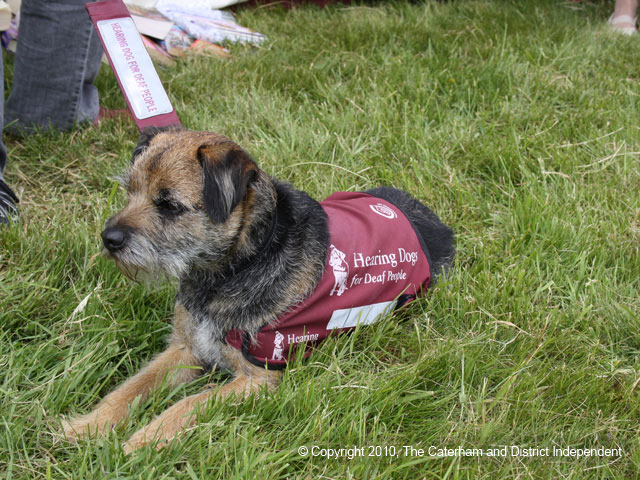 Warlingham Fair 2010 / IMG_0530.jpg